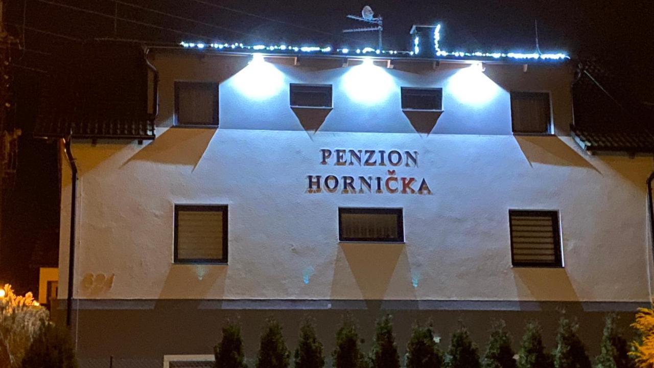 Penzion Hornicka Cesky Krumlov Exterior photo